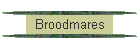 Broodmares