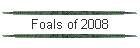 Foals of 2008