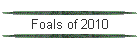 Foals of 2009