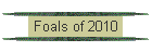 Foals of 2009