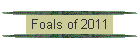 Foals of 2011
