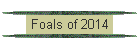 Foals of 2014